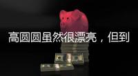 高圆圆虽然很漂亮，但到这个年龄还是少穿这种露肉的衣服好	。