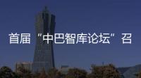 首届“中巴智库论坛”召开 共论应对地区变局之道