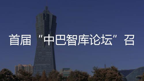 中巴关系是国际关系中的典范
