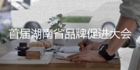 首届湖南省品牌促进大会召开，三一在多项评选中独占鳌头