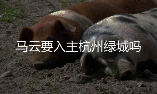 但也有内部人士Tou露