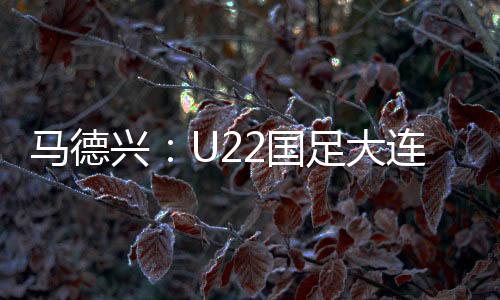 更能提升队伍战斗力等等