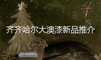 齐齐哈尔大澳漆新品推介会成功召开