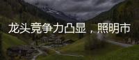 龙头竞争力凸显，照明市场竞争格局高度分散，流量竞争日趋激烈