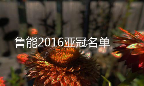 11位中场以及6名前锋