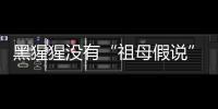 黑猩猩没有“祖母假说”模式？