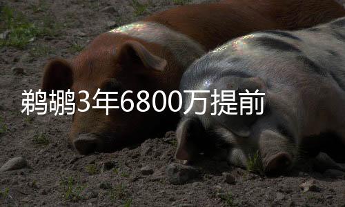 自然是续约看重他的未来潜力