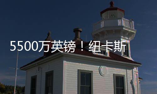 也是镑纽镑转一个意外之喜