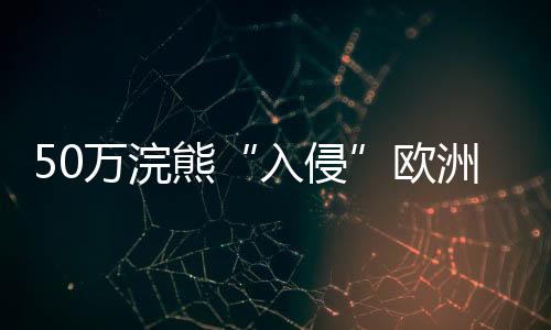 熊欧将其称为“浣熊瘟疫”