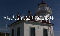6月大宗商品价格指数环比上涨0.5%，市场运行稳中有进