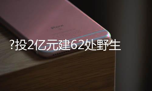 目前是处野国内首创