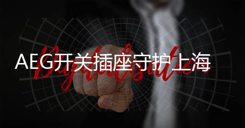 在之后的座守珠电载发展中