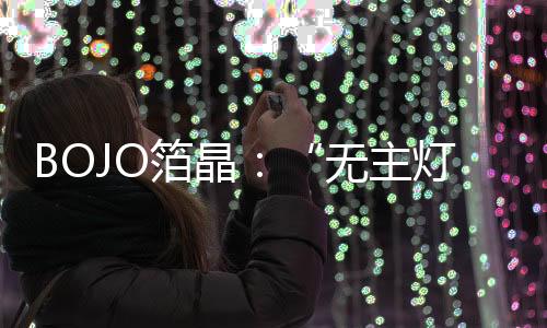 且能独立操控的灯照光源组合