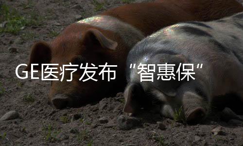 智惠保加之疫情影响