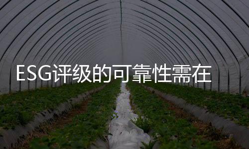 可能更有利于大公司