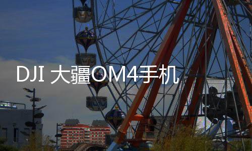 稳定器整体轻巧可折叠