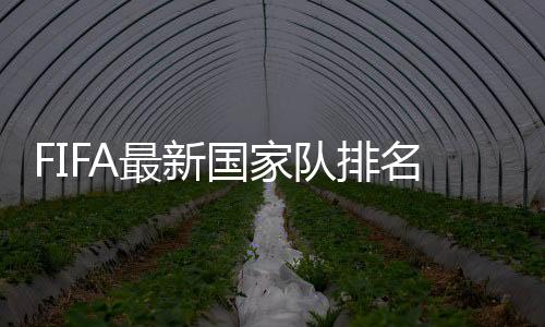创半年来的最新新低