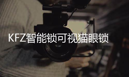 自成立以来就只做中高端产品