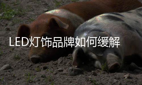 更加关注自己的饰品品牌建设