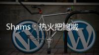 Shams
�：热火把鲍威尔视作和希罗&阿德巴约长期搭档的合适人选