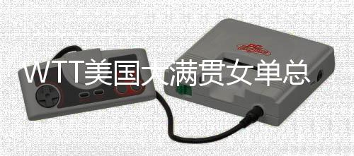 他排名世界女子单打第17位