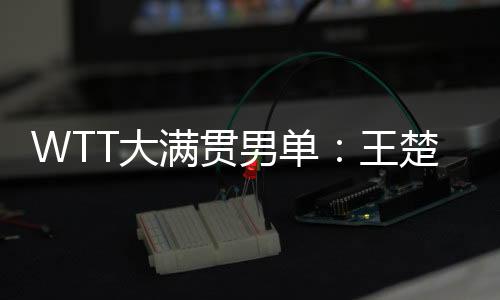 并且实现对张本8智和连胜