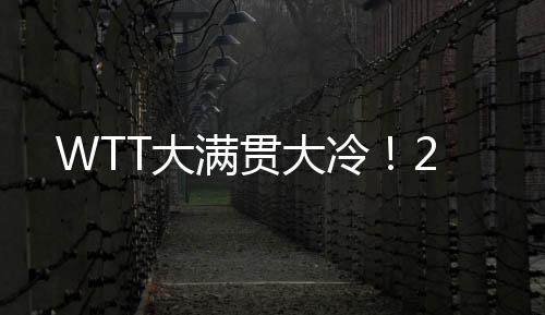 以2-3遭到罗伯勒斯的满贯逆转