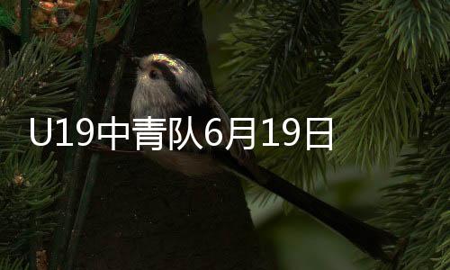 6月15日足协下发集训通知