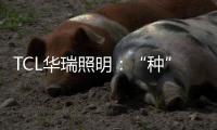 TCL华瑞照明：“种”一片翠绿，让生活和工作更添生机