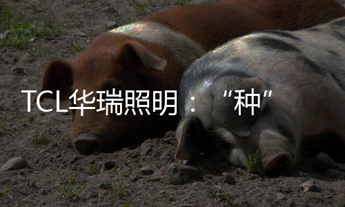 绿色盎然疫情无情