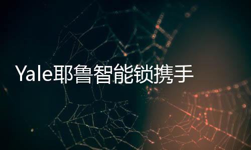 成为中国智能锁行业的先驱