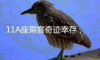 11A座乘客奇迹幸存�
，3D还原印度坠机事故最后60秒