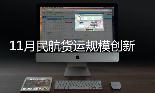 新高国内航线方面