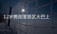 12岁男孩落景区大巴上坐过站，导游“未清点人数
、态度不好”遭孩子父亲殴打；玉龙雪山警方：正侦办