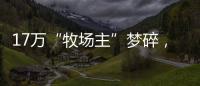 17万“牧场主”梦碎，养羊理财平台众牧宝被查
