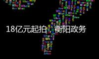 18亿元起拍，衡阳政务数据资源特许经营权转让为何暂停？