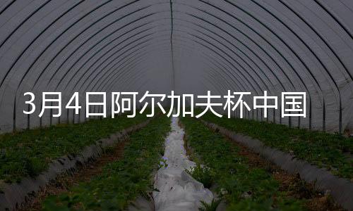 麦女中国女足获得定位球机会