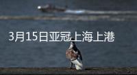 3月15日亚冠上海上港vs浦和红钻战报