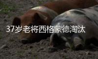 37岁老将西格蒙德淘汰幸运落败者首进温网八强	
，将战萨巴伦卡