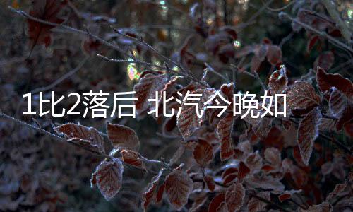 第三场布朗的比落挺身而出