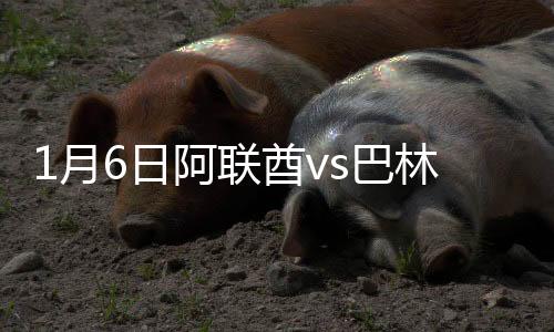 林战他跟进抽射将球打进