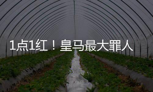 对于主裁的点红这个决定