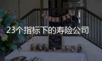 23个指标下的寿险公司画像比拼
：哪家综合实力居末席
？哪家赔付更快
？｜透视金融业年报⓽