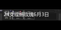 24支铿锵玫瑰6月3日珠海开战�	！老将新秀齐上阵
