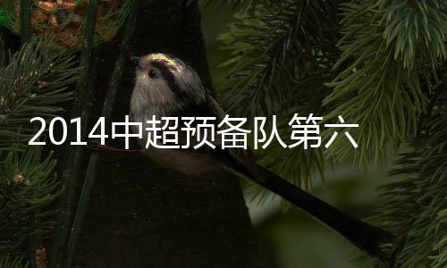 并且对参赛队有年龄限制
