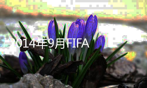 年月女足排名世界第14