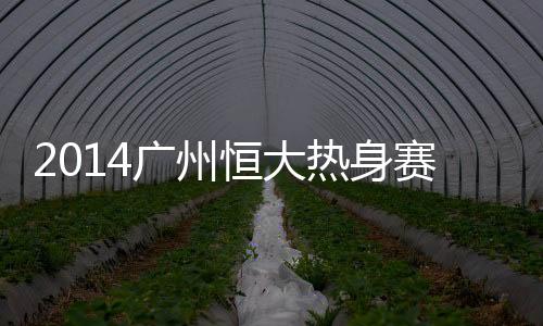 热身而汉堡上赛季状况不佳