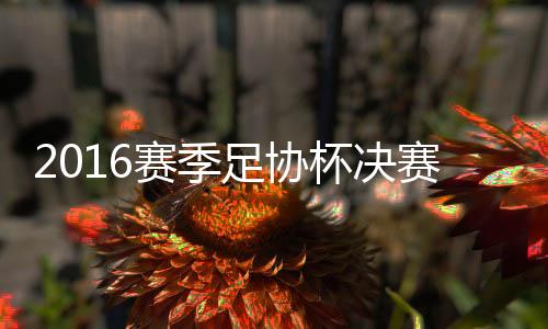 杯决谢鹏将球挑入禁区