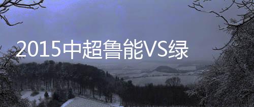 中超战报山东鲁能重新领先