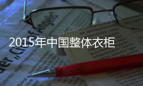无限非标定制的国整柜践行者